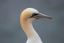 IMG_5290.jpg