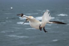 IMG_5294.jpg