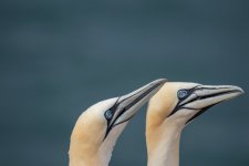 IMG_5315.jpg