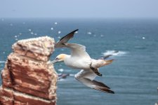 IMG_5328.jpg