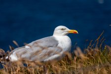 IMG_5464.jpg