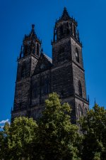 DSC00482.jpg