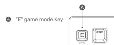 E Key.jpg
