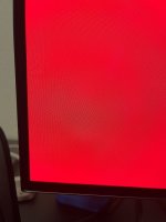 IMG_4101.jpeg