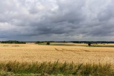 20250716-6K2A0460.jpg