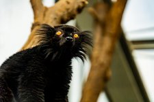DSC02067-2.jpg