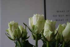 DSC_0070.jpg