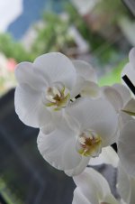 DSC_0072.jpg
