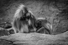 DSC01715-2.jpg