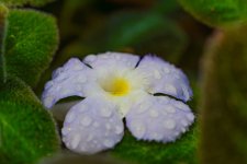 DSC03218.jpg