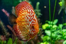 DSC03260.jpg