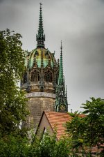 DSC02590.jpg