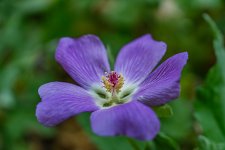 DSC03185-3.jpg