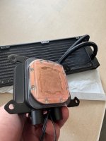 IMG_4282.jpeg