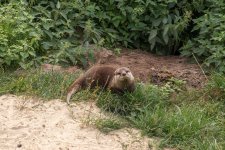 IMG_6070.jpg