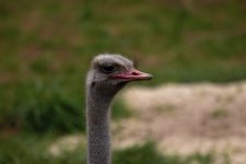 IMG_5928.jpg
