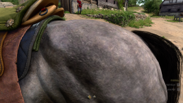 Kingdom Come Deliverance II - Optiscaler korrekt.png