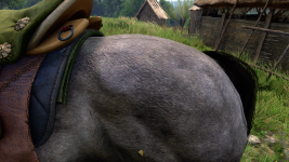 Kingdom Come  Deliverance II Optiscaler Pixels.png