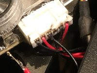 IMG_0737.jpg
