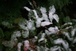 DSC03138_900.jpg