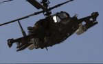 DCS-BS (4).jpg