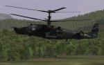 DCS-BS (5).jpg