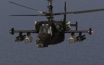 DCS-BS (7).jpg