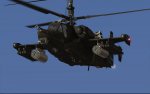 DCS-BS (8).jpg