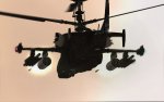 DCS-BS (10).jpg