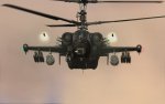 DCS-BS (11).jpg