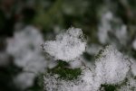 DSC03142_900.jpg
