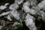 DSC03136_900.jpg