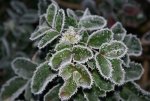 DSC03150_900.jpg