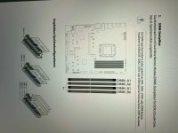 IMG_1977.jpeg
