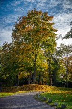 DSC00067.jpg