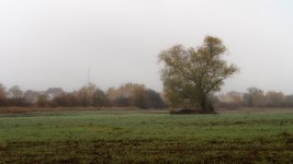 DSC00285-2.jpg