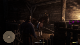 RDR2 mit CachyOS Linux 004.png