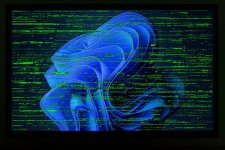 Grüner digitaler Bildschirmfehler.jpg