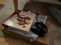 IMG_1405.jpeg