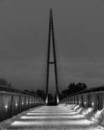MSD00302.jpg