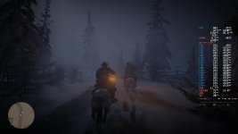 RDR2 004.jpg