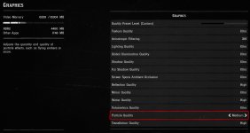 RDR2 Settings.jpg