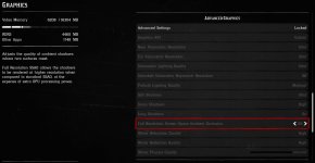 RDR2 Settings 2.jpg