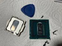 IMG_1537.jpeg