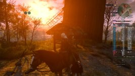 Witcher 021.jpg