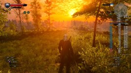 Witcher 020.jpg