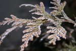 DSC03144_900.jpg