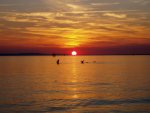 098-Langenargen-Sonnenuntergang mit SchwÃ¤nen_filtered2.jpg