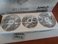 PXL_20260319_152628971.jpg