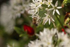 IMG_6757.jpg